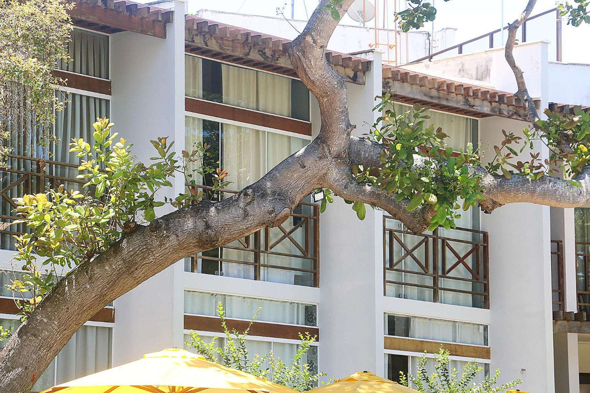 Apartamento Ubaia Charme & Conforto